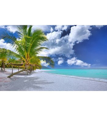 Комбинированный тур из Узбекистана — Малайзия–Таиланд–Камбоджа (9 дней незабываемых впечатлений)